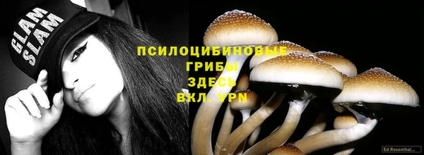 мефедрон Богородицк