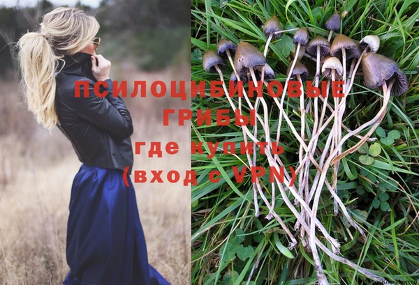 мескалин Беломорск