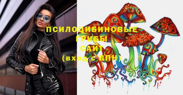 гашик Белокуриха